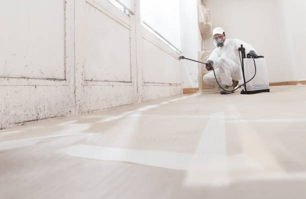 24/7 Emergency Mold Removal experts in South Orange, NJ