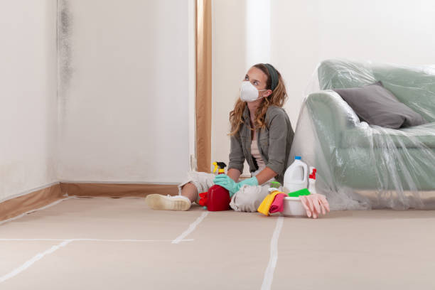 Reliable Mold Removal contractor in South Orange, NJ by WQB Mold Removal